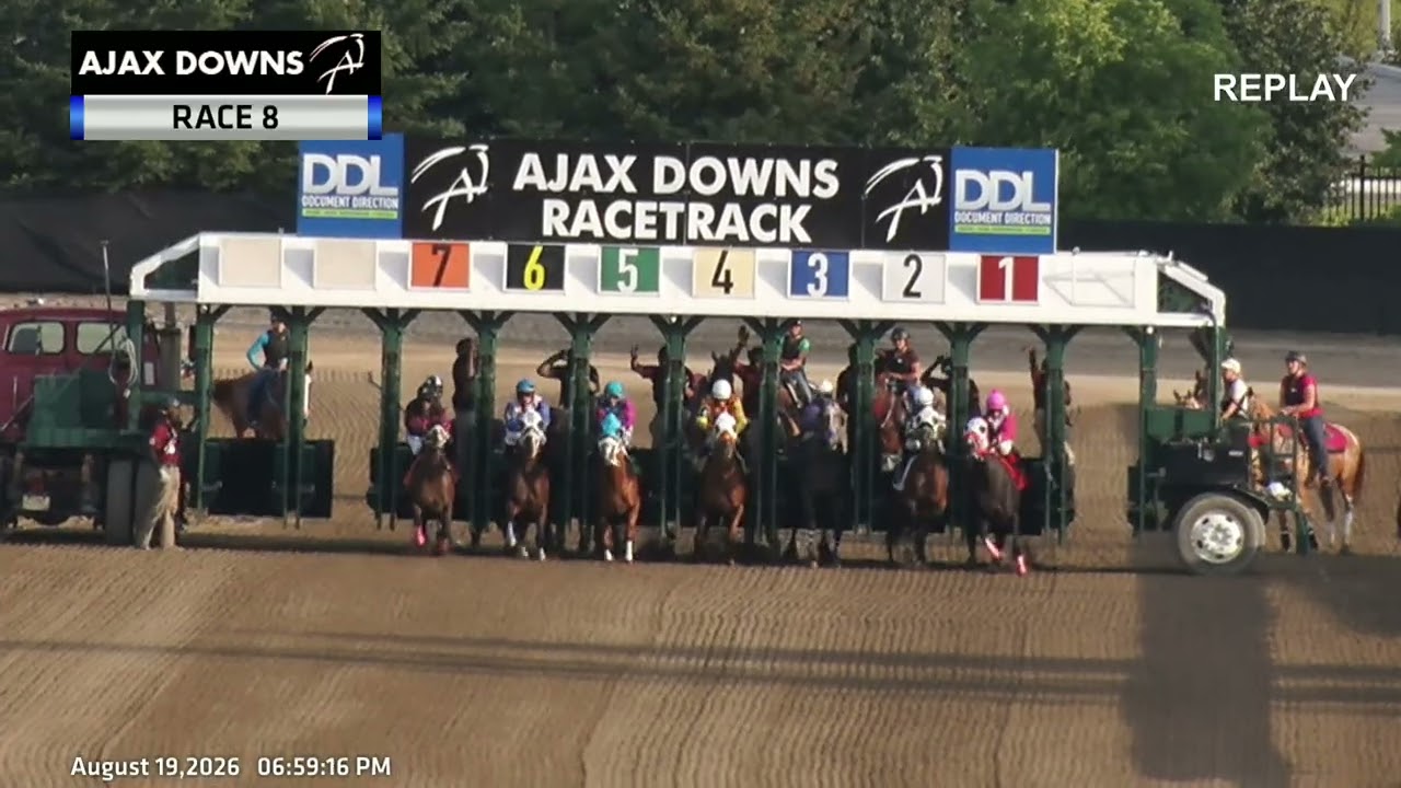 SPEED INDEX RACE 

for 3-year olds and upward
with an average Speed Index of 85 and under 
or with a Speed Index that has never been better than 90

350 yards