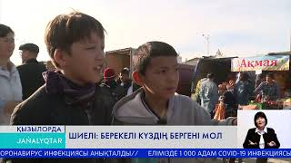 видео: Шиелі: берекелі күздің бергені мол картинка: Шиелі: берекелі күздің бергені мол