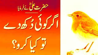 Urdu Quotes Collection Of Hazrat Ali | Beautiful Quotes About Life | Hazrat Ali Ne Farmaya
