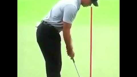Tiger putting lesson. Millions $ putting