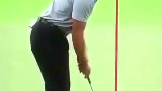 Tiger putting lesson. Millions $ putting