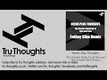 Video thumbnail for Deeds Plus Thoughts - The World's Made Up of This and That - Fatboy Slim Remix