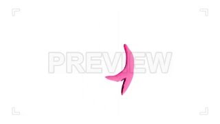 Famous 6 in 1 Splash Animated Elements Stock Video Profile