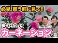 【矢祭園芸】カーネーションの知られざる新常識を聞いてきました!【母の日】