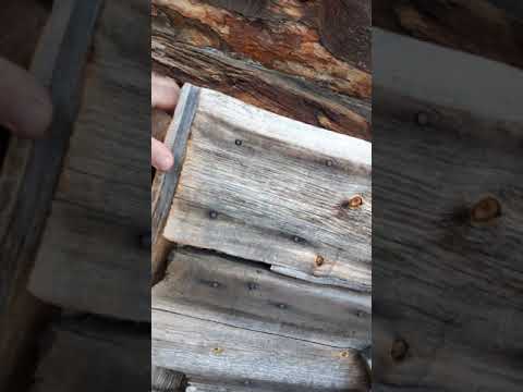 Sevettijärvi koltamuseo 1