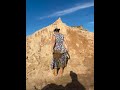 Woman Takes Muddy Slide Downhill With Dog