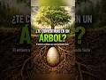 🌱 El entierro que transforma la muerte en vida