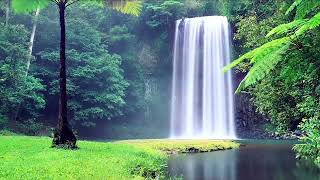 Relaxing Piano Music • Sleep Music, Water Sounds, Relaxing Music, Meditation Music