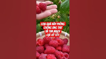 Thu hoạch quả mâm xôi (phúc bồn tử)  #nguoiyeulamvuon