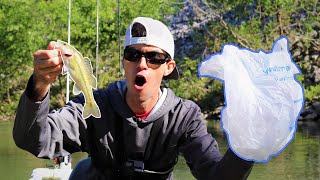 CATCHING Fish w/ a PLASTIC BAG (UNBELIEVABLE) 