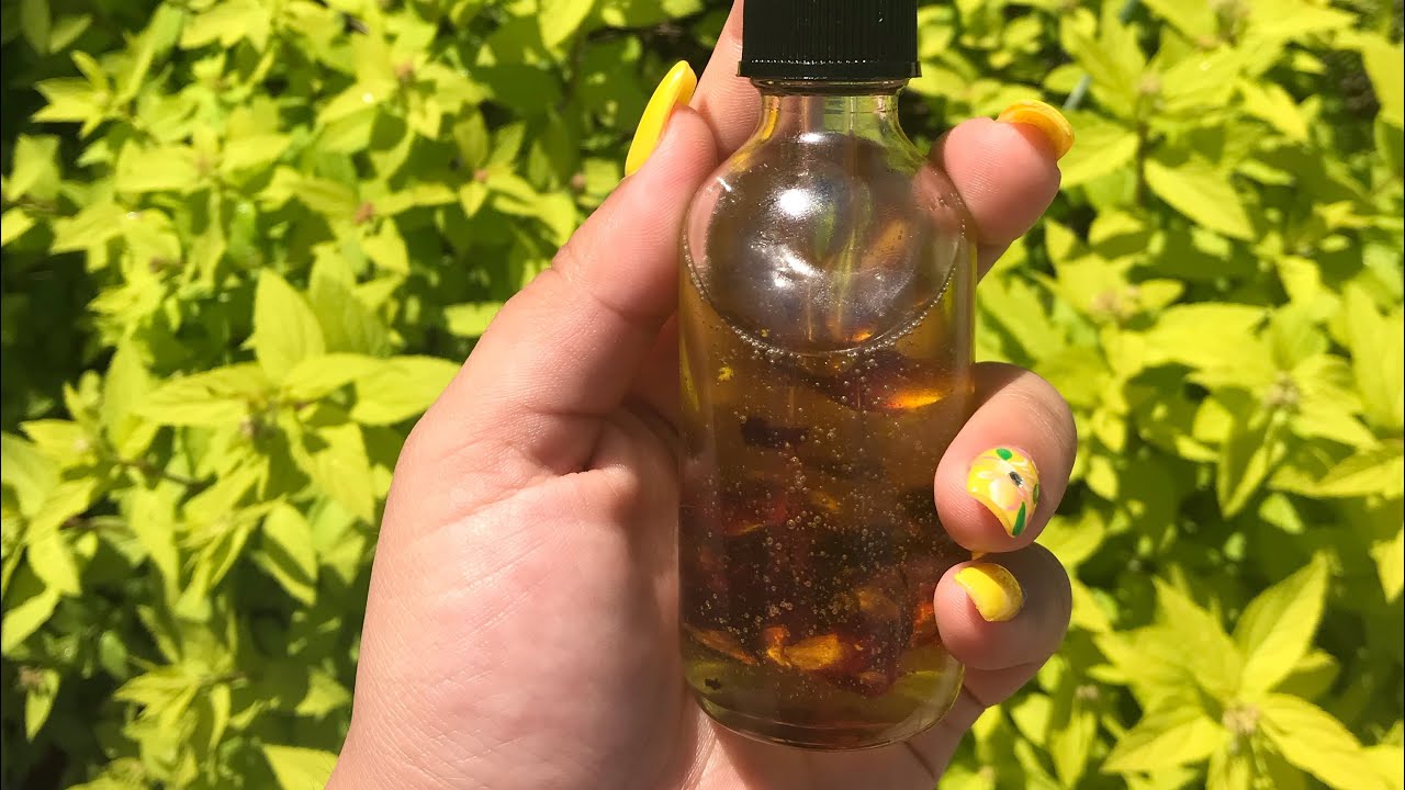How I make my rose infused Face oil! (Great for oily/acne prone skin 🌹
