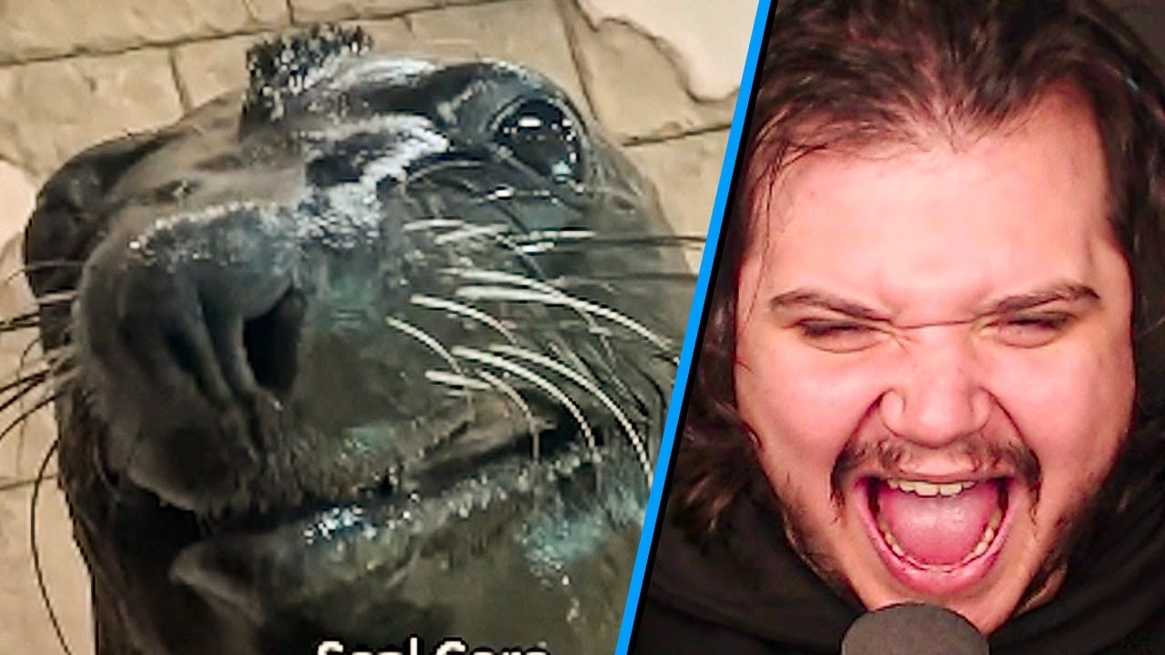 TENTE LEVAR A SERIO - Memes do discord