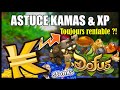 Dofus  astuce kamas et xp zone de farm dans les plaines de cania 