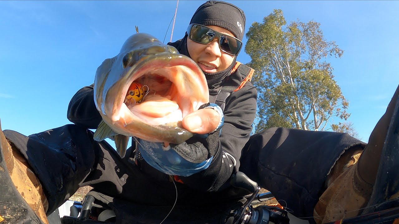 WINTER CRANKBAIT FISHING FOR BIG BASS
