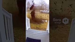 She Stole The Table Biggest Mistake Ever