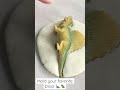 Science activity mold your dino