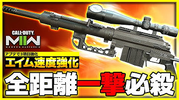 【CoD:MW2】アプデで強化されたスナイパー『インタベ』 エイム速度と高威力を併せ持つSR【ぐっぴー】CoD:Modern Warfare ll