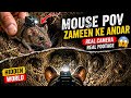 Zameen Ke Andar Kya Hai? Mouse POV 😳#mouse #trending #AnimalPOV#POVVideo#video 