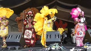 Big Chief Monk Got Soul April 28 2024 New Orleans Jazz Fest nunupics