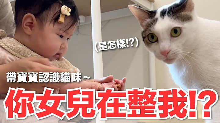 【好味小姐】你女兒在整我？帶寶寶認識貓咪～！｜好味貓日常206