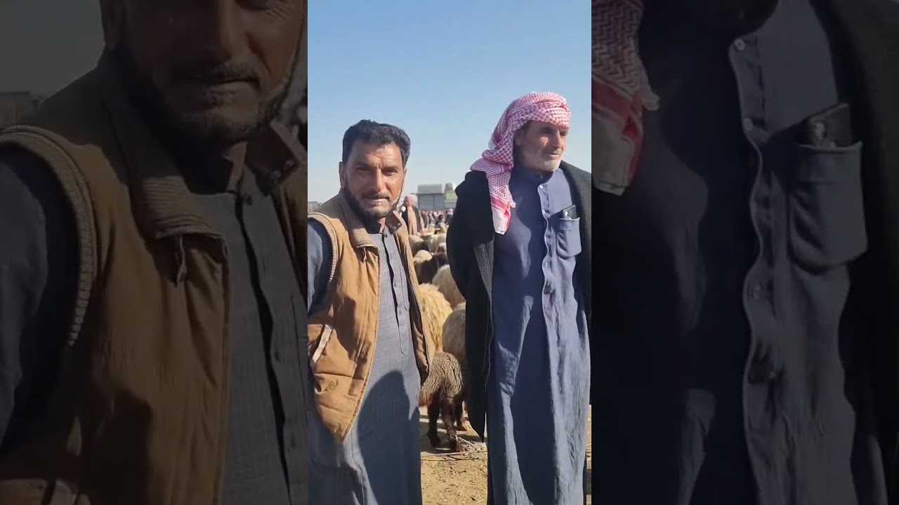 سوق الرقة تصوير عمر الهنداوي 00963988569610