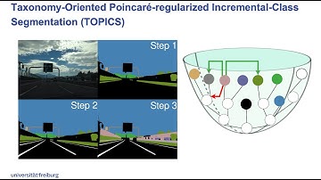 Taxonomy-Aware Continual Semantic Segmentation in Hyperbolic Spaces for Open-World Perception