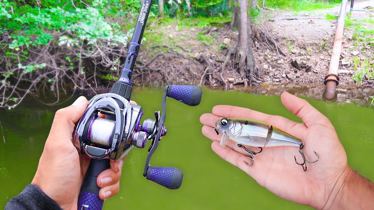TOPWATER Fishing SMALL Ponds! (LOADED w/ Bass) YouTube