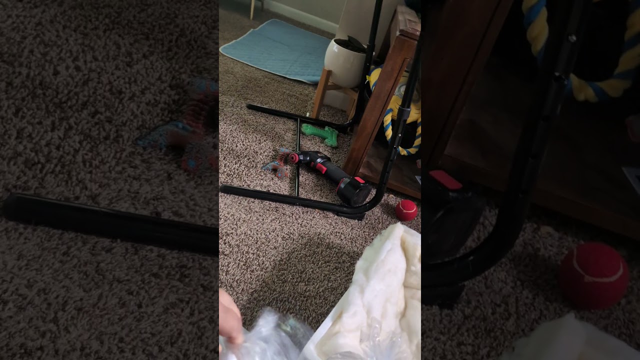 First Coast Unboxing, sorry hard to see because of double bags! (2026) #shorts #drockingfish
