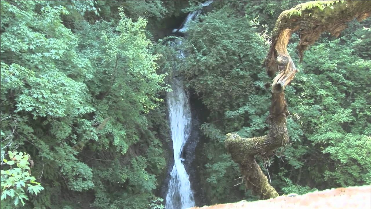 コロンビア ゴージ 峡谷 数々の滝や玄武岩の絶壁が見事 Junglecity Com