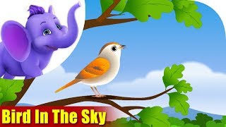 sky birds 4k ultra bird song