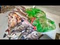大晦日の漁！獲れた魚を市場に全部出荷！まさかの売り上げに⁉