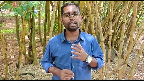 Seminar Circles, Dept of English, Tumkur University