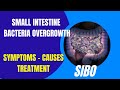SIBO | Small Intestinal Bacterial Overgrowth | Causes | Symptoms | Treatment Steps