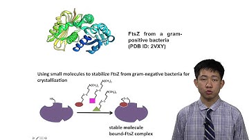 Beckman Scholar - Zi Yao