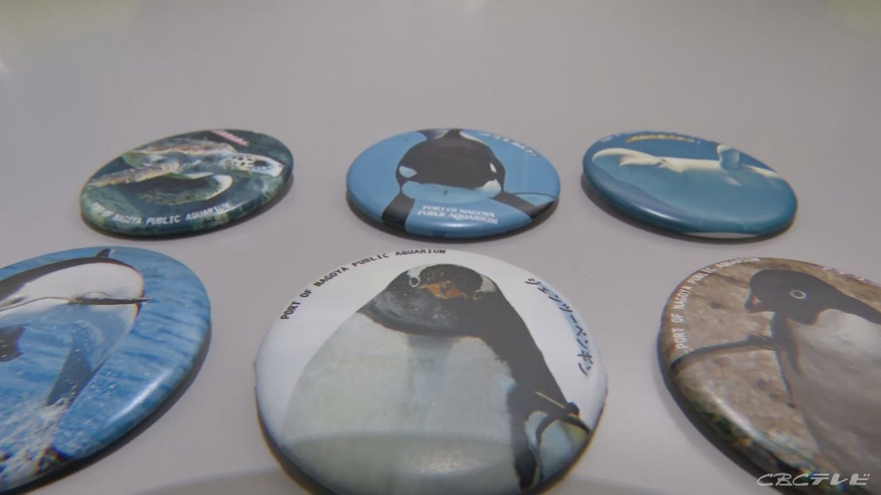 ペンギンたちのベストショットの「限定缶バッジ」が返礼品