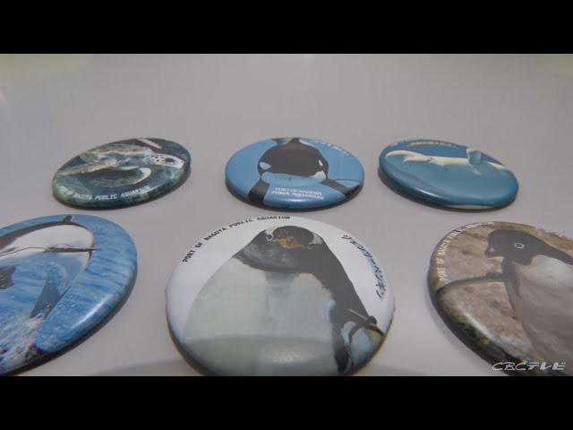 名古屋港水族館 ガチャ 水族館deクルッと寄付 返礼品 缶バッジ 4点セット イルカ缶バッジ「推し」出るかな？ 餌代寄付の返礼品 9、10月誕生日の3