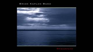 Brian Kaplan Band - You've Missed the Point