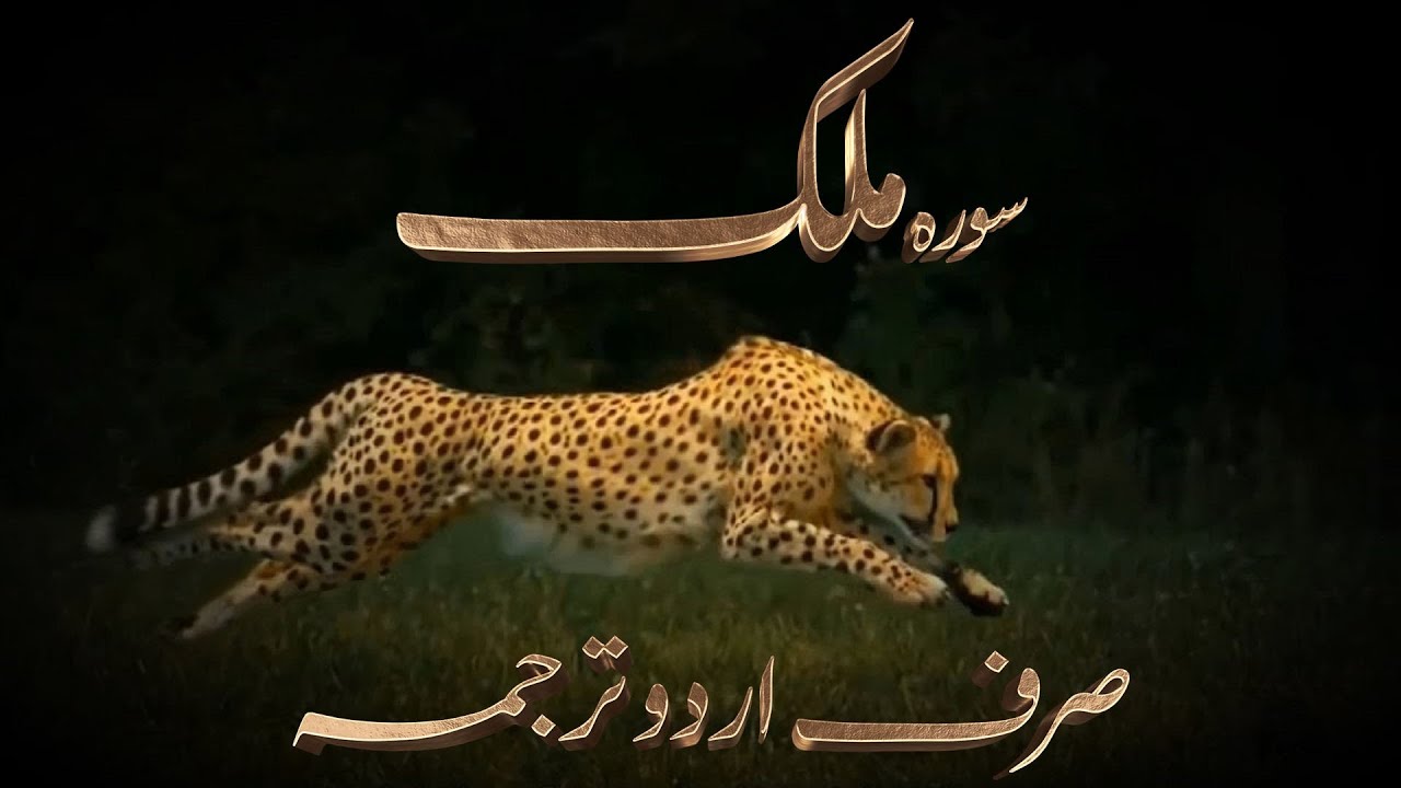 Amazing Sura Mulk Only Urdu & Hindi With visual picture