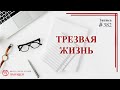 #382 Трезвая жизнь/ записи Нарколога