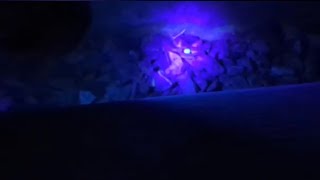 Temu UV 395NM Ultra Violet Torch #review #temu  #scorpion #blackwidow screenshot 4