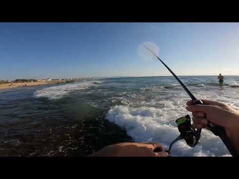 דייג 2023 לברקים וסרגוסים  ב 2 שיטות דיג מתחיל עם צ'יבורשקה מזהה רתיחות ומחליף לאיימה אייסן (חיקוי)