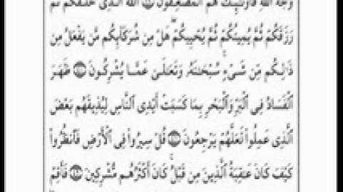 سورة الروم بصوت  الشيخ مصطفى خميس ج2.wmv