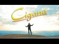 João Carreiro - Cigana (Clipe Oficial)