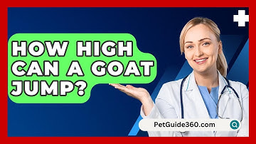 How High Can A Goat Jump? - PetGuide360.com