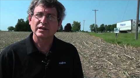 How to do emergence counts: Part One