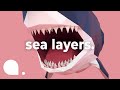 Exploring Ocean Zones and Their Unique Features