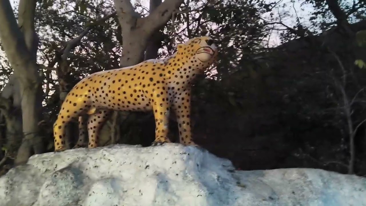 Maa Bamleshwari mandir ,dongargarh cg