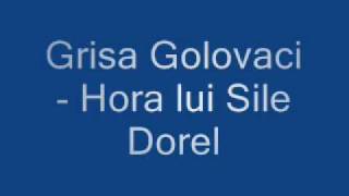 Video thumbnail of "Grisa Golovaci - Hora lui Sile Dorel"