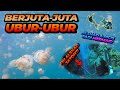 RENANG BERSAMA JUTAAN UBUR-UBUR ! FIN ALSHAD JATUH KE DALAMAN 30M ? LIBURAN BARENG @Ricis Official