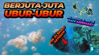 RENANG BERSAMA JUTAAN UBUR-UBUR ! FIN ALSHAD JATUH KE DALAMAN 30M ? LIBURAN BARENG @Ricis1795